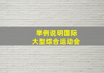 举例说明国际大型综合运动会