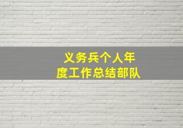 义务兵个人年度工作总结部队