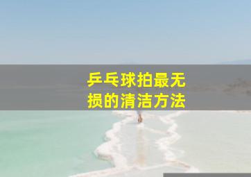 乒乓球拍最无损的清洁方法