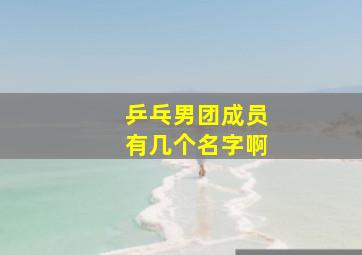 乒乓男团成员有几个名字啊