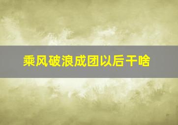 乘风破浪成团以后干啥