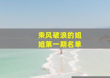 乘风破浪的姐姐第一期名单