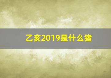 乙亥2019是什么猪