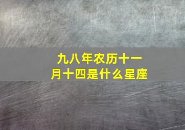 九八年农历十一月十四是什么星座