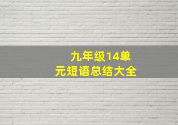 九年级14单元短语总结大全