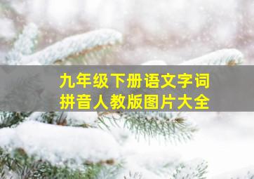 九年级下册语文字词拼音人教版图片大全