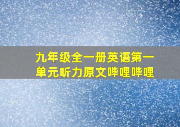 九年级全一册英语第一单元听力原文哔哩哔哩