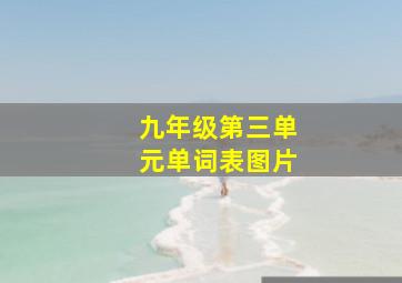 九年级第三单元单词表图片