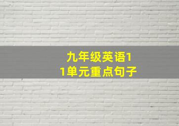 九年级英语11单元重点句子