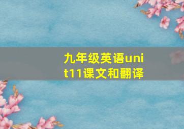 九年级英语unit11课文和翻译