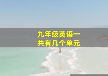 九年级英语一共有几个单元