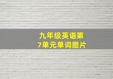 九年级英语第7单元单词图片