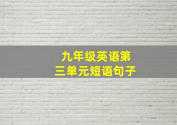 九年级英语第三单元短语句子