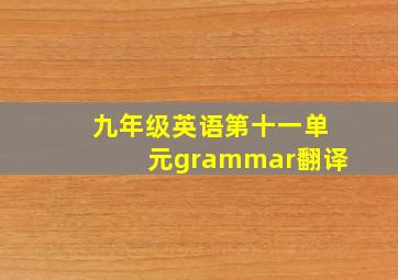 九年级英语第十一单元grammar翻译