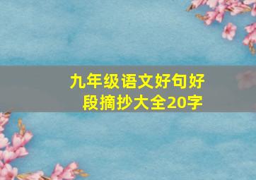 九年级语文好句好段摘抄大全20字