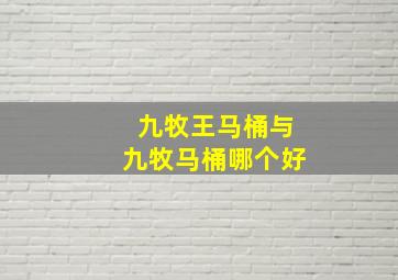 九牧王马桶与九牧马桶哪个好