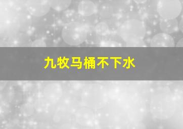 九牧马桶不下水