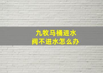 九牧马桶进水阀不进水怎么办