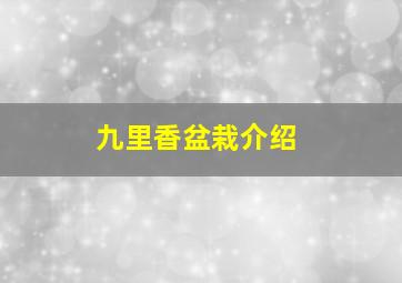 九里香盆栽介绍