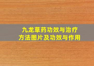 九龙草药功效与治疗方法图片及功效与作用