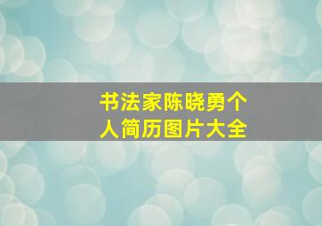 书法家陈晓勇个人简历图片大全