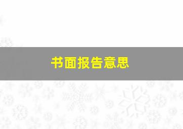 书面报告意思