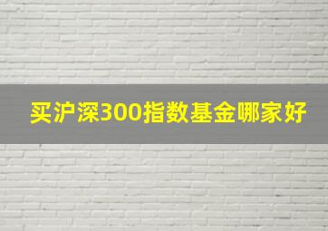 买沪深300指数基金哪家好