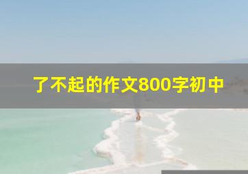 了不起的作文800字初中