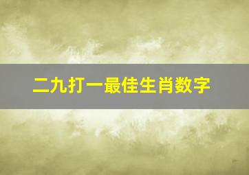 二九打一最佳生肖数字