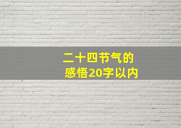 二十四节气的感悟20字以内