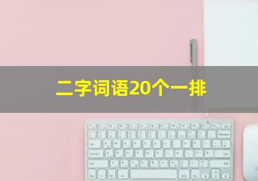 二字词语20个一排