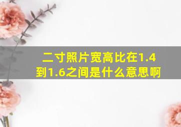 二寸照片宽高比在1.4到1.6之间是什么意思啊