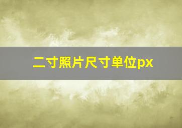 二寸照片尺寸单位px