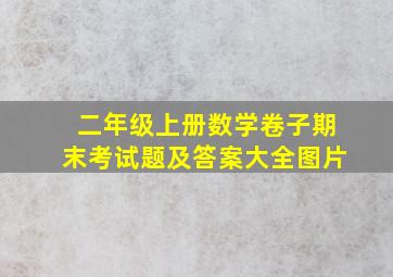 二年级上册数学卷子期末考试题及答案大全图片