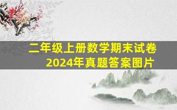 二年级上册数学期末试卷2024年真题答案图片