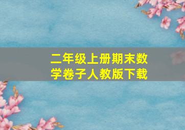 二年级上册期末数学卷子人教版下载