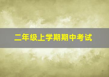 二年级上学期期中考试