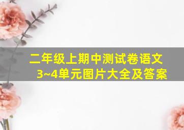 二年级上期中测试卷语文3~4单元图片大全及答案