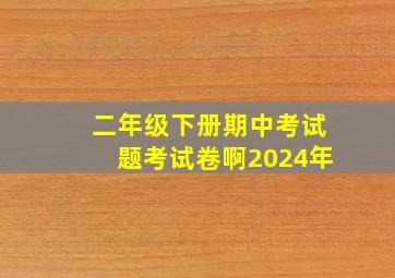 二年级下册期中考试题考试卷啊2024年