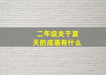 二年级关于夏天的成语有什么