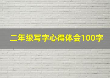 二年级写字心得体会100字