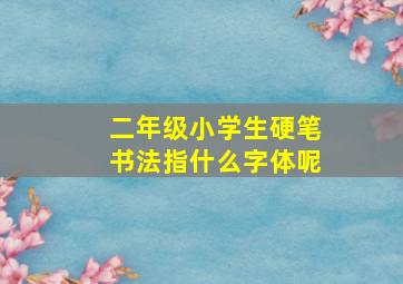 二年级小学生硬笔书法指什么字体呢