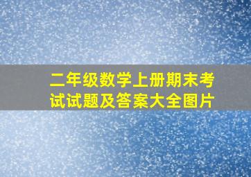 二年级数学上册期末考试试题及答案大全图片