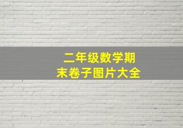 二年级数学期末卷子图片大全