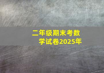 二年级期末考数学试卷2025年