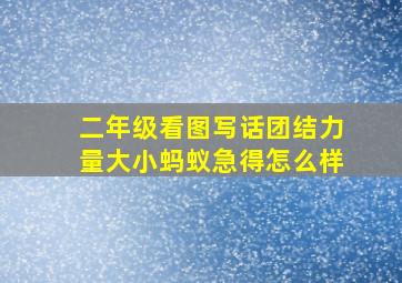 二年级看图写话团结力量大小蚂蚁急得怎么样