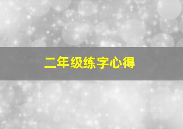 二年级练字心得