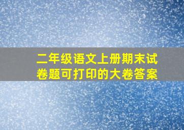 二年级语文上册期末试卷题可打印的大卷答案