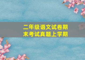 二年级语文试卷期末考试真题上学期