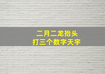 二月二龙抬头打三个数字天宇